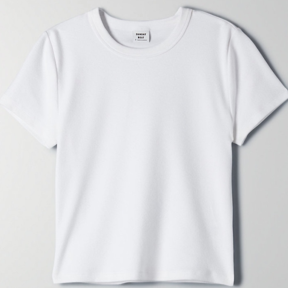 Aritzia Sunday Best Little Ribbed T-shirt White